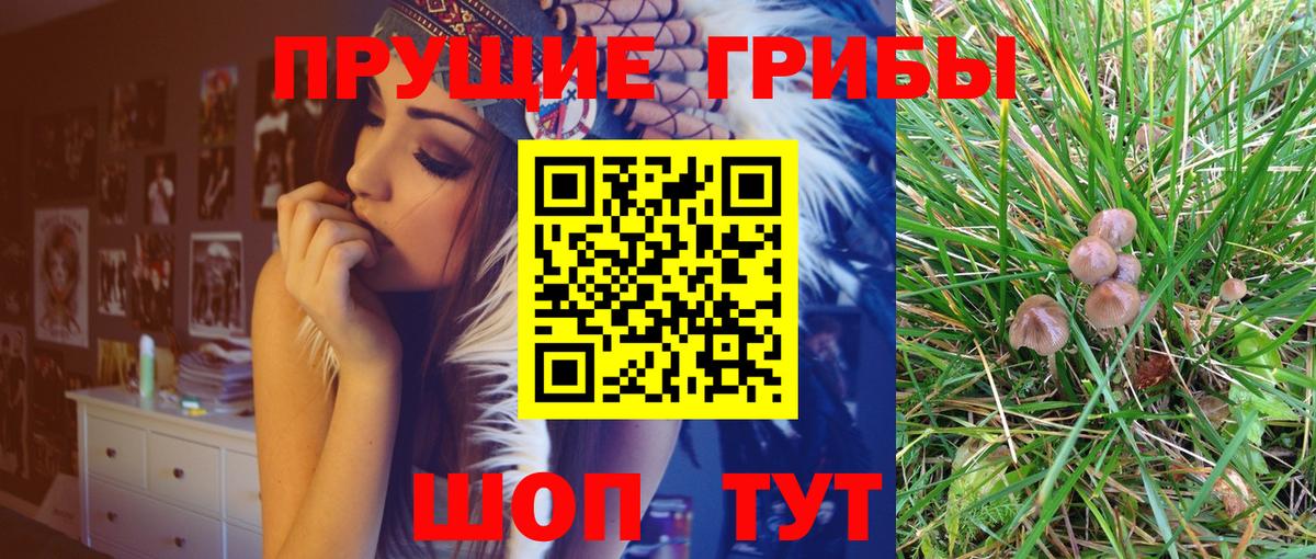 Тихорецк  Псилоцибиновые грибы Magic Shrooms  Вход с VPN 